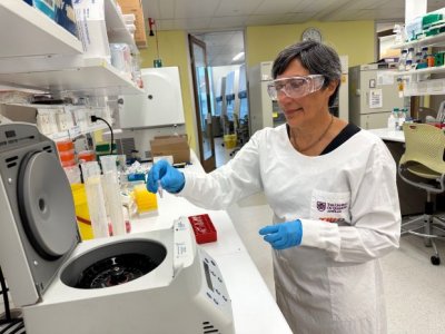 Professor Ranjeny Thomas AM wearing white coat working in her lab. Image, UQ